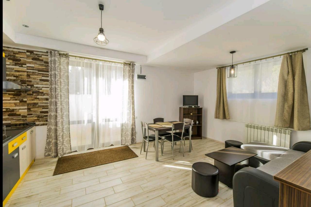 Apartament Andra بويانا براسوف المظهر الخارجي الصورة