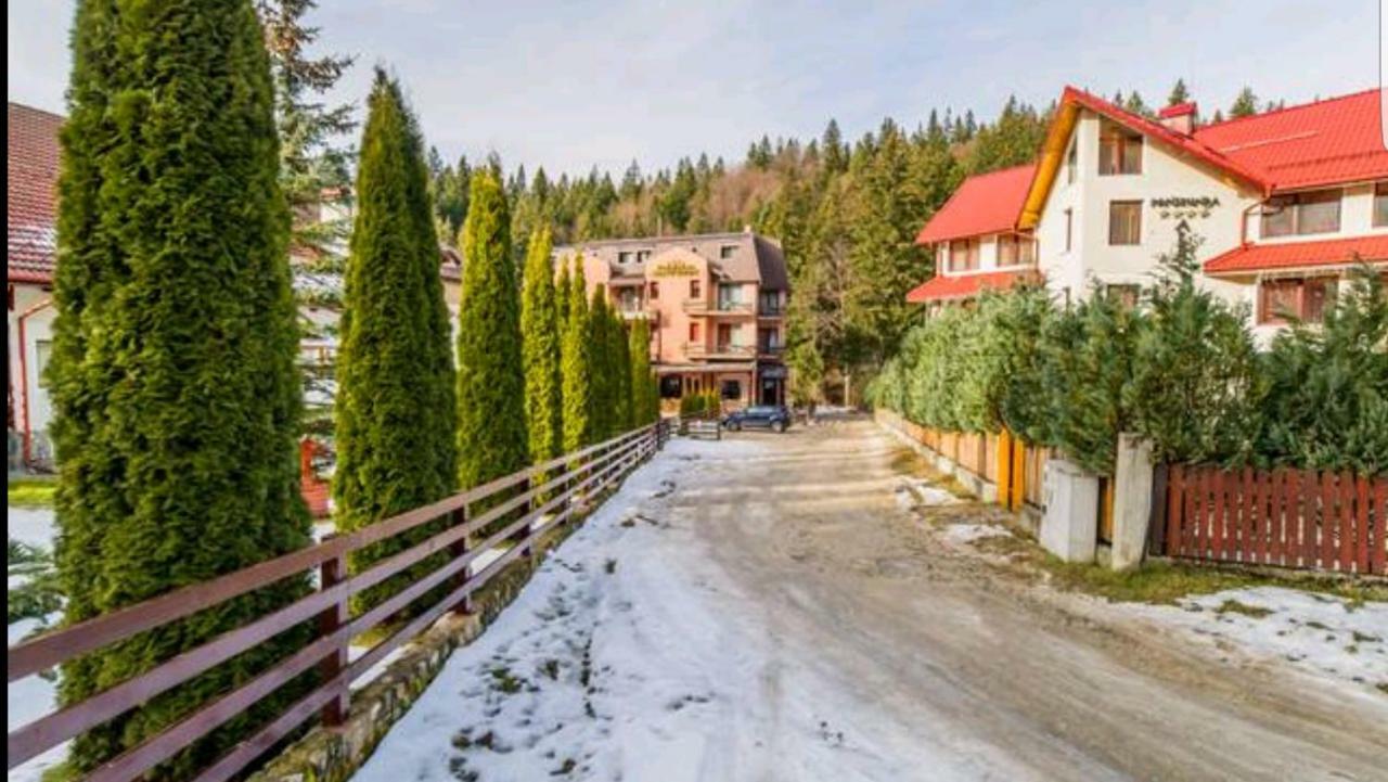 Apartament Andra بويانا براسوف المظهر الخارجي الصورة